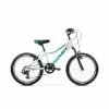 Arkus&Romet Children’s Bike Romet Rambler KID 2, 20-inch, 6-8 Years Old -Bicycles winkel arkus romet rambler 20 kid 2 2022 whitegreen