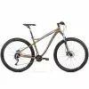 Arkus&Romet Mountain Bike Romet Rambler Fit 29 1 Arkus&Romet Mountain Bike Romet Rambler Fit 29 -Bicycles winkel arkus romet rambler fit 29 2022 golden