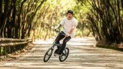 Electric Bicycle Fiido D11 (36 V / 11,6 Ah), Foldable 27 Electric Bicycle Fiido D11 (36 V / 11,6 Ah), Foldable -Bicycles winkel elektrijalgratas fiido d11 foto 4