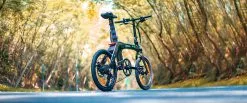 Electric Bicycle Fiido D21 (36 V / 11,6 Ah), Foldable -Bicycles winkel elektrijalgratas fiido d21 10