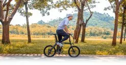 Electric Bicycle Fiido D21 (36 V / 11,6 Ah), Foldable -Bicycles winkel elektrijalgratas fiido d21 11