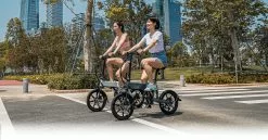 Electric Bicycle Fiido D2S (36 V / 7.8 Ah), Foldable -Bicycles winkel elektrijalgratas fiido d2s 7