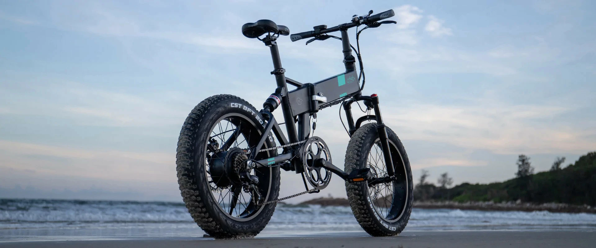 Electric Bicycle Fiido M21 (48 V / 11,6 Ah), Foldable 10 Electric Bicycle Fiido M21 (48 V / 11,6 Ah), Foldable - Afbeelding 8