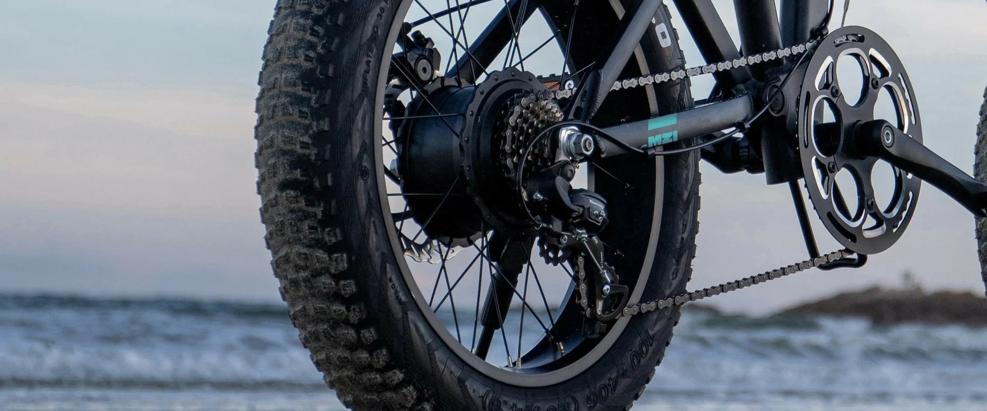 Electric Bicycle Fiido M21 (48 V / 11,6 Ah), Foldable 13 Electric Bicycle Fiido M21 (48 V / 11,6 Ah), Foldable - Afbeelding 11