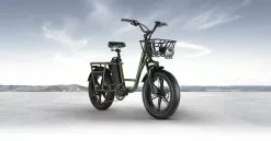 Electric Bicycle Fiido T1 PRO (48 V / 20 Ah) -Bicycles winkel elektrijalgratas fiido t1 5